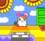 Hamtaro